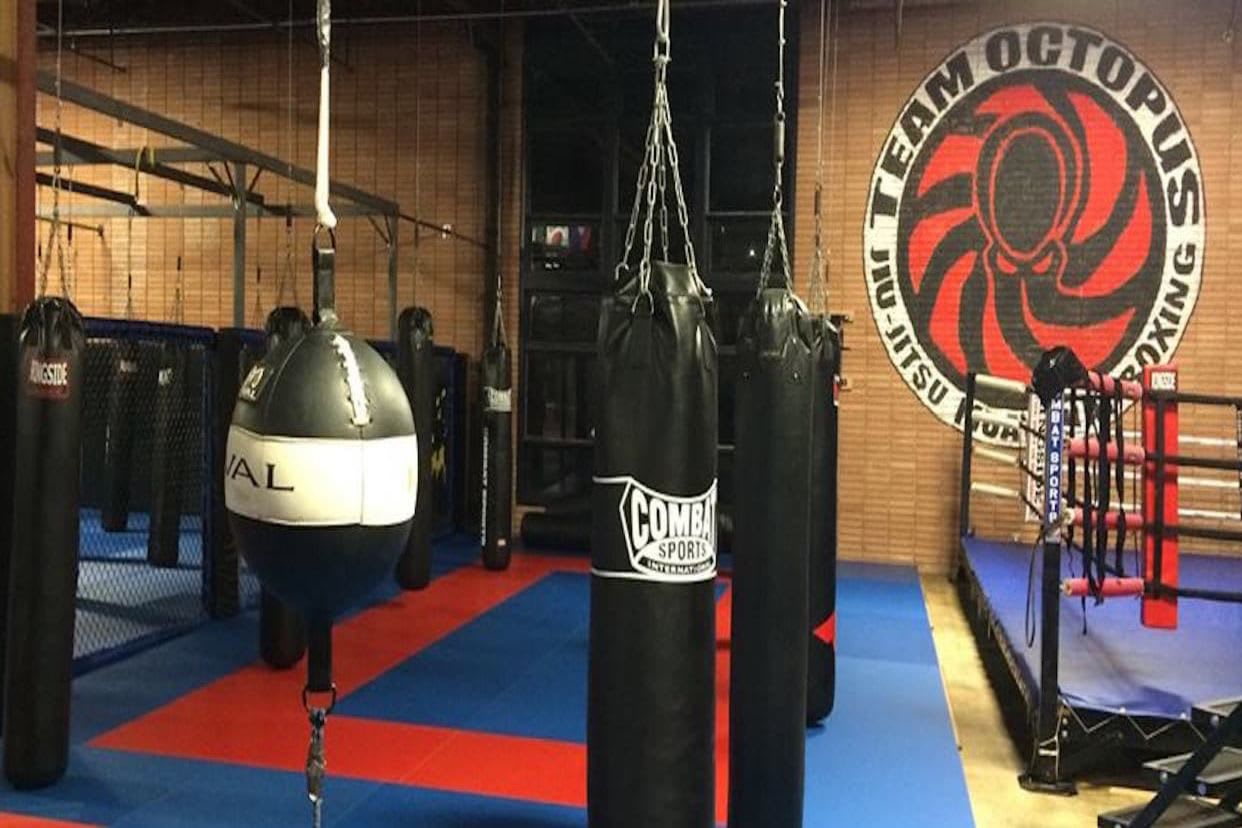 aerial punching bag