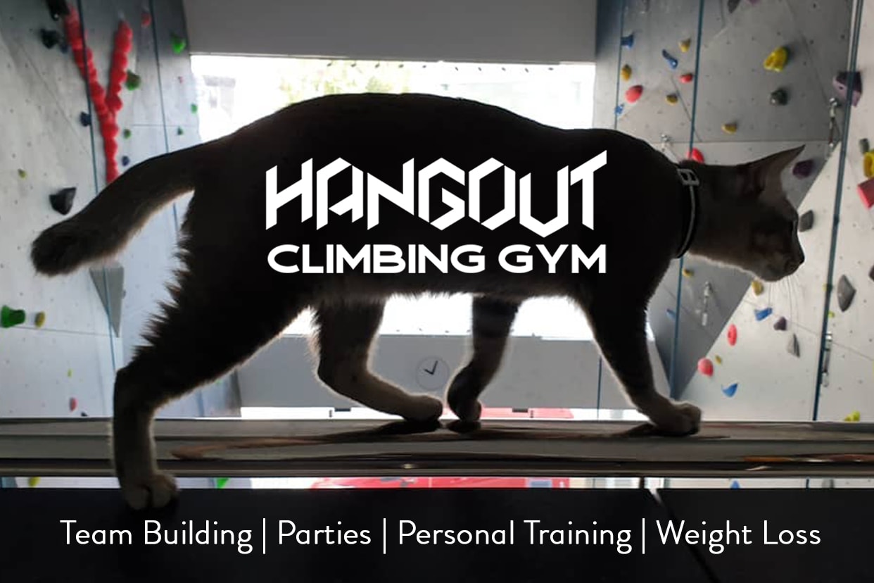 HangOut Climbing Gym Read Reviews and Book Classes on ClassPass