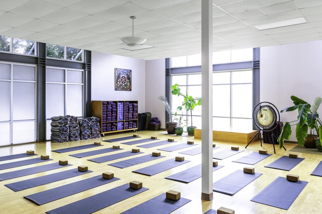 Black Swan Yoga - Westgate: Read Reviews and Book Classes on ClassPass