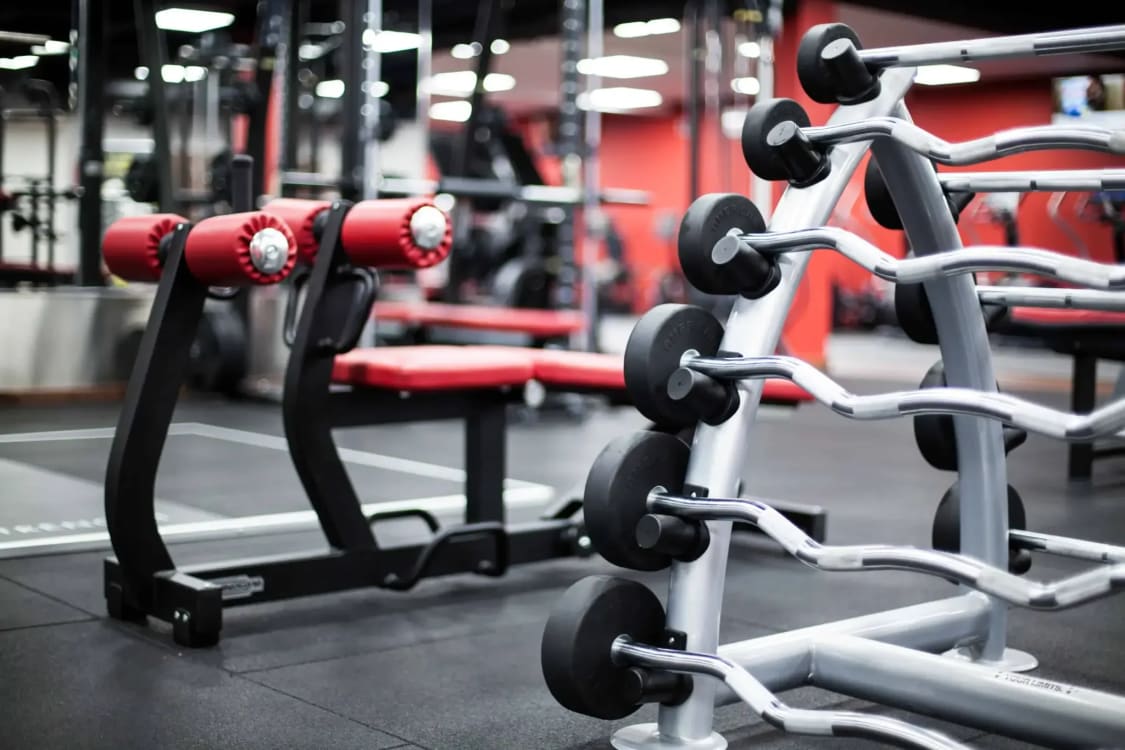 Snap fitness discount equipment for sale