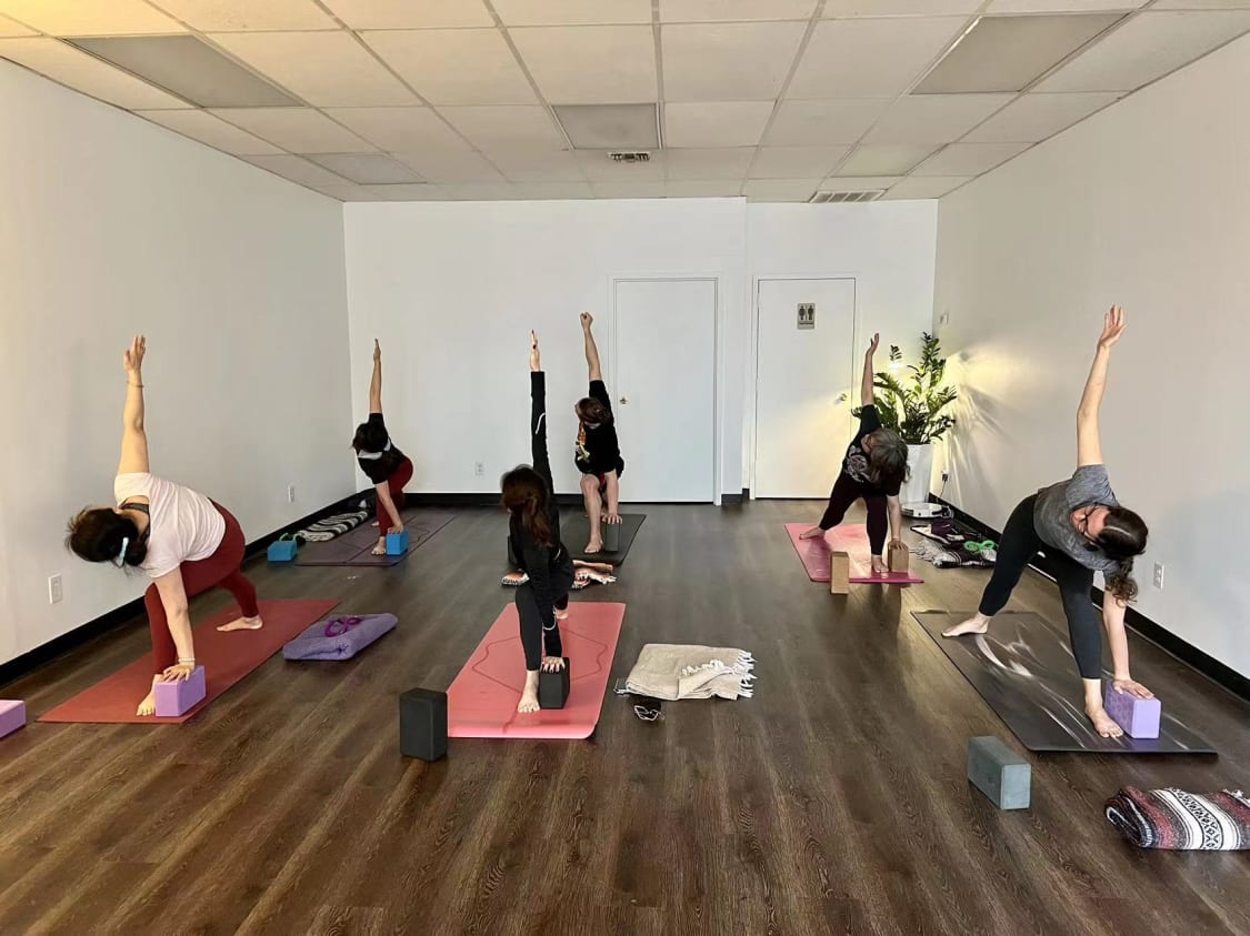 Muse Yoga & Fitness: Read Reviews and Book Classes on ClassPass