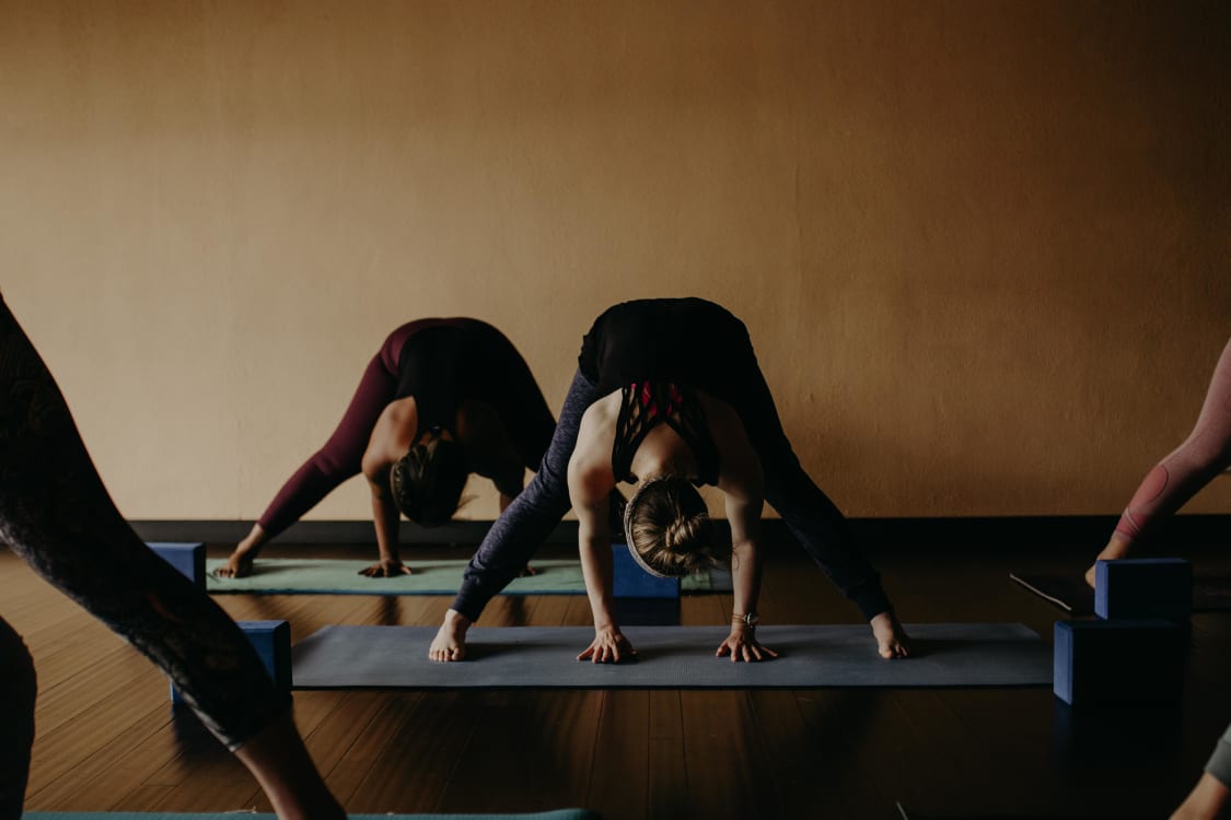 Lotus Yoga - Demers: Read Reviews and Book Classes on ClassPass