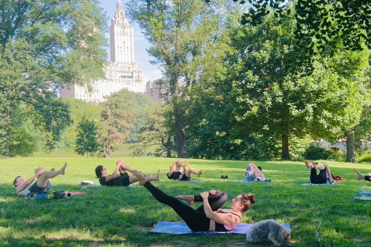 Club Pilates Central Park