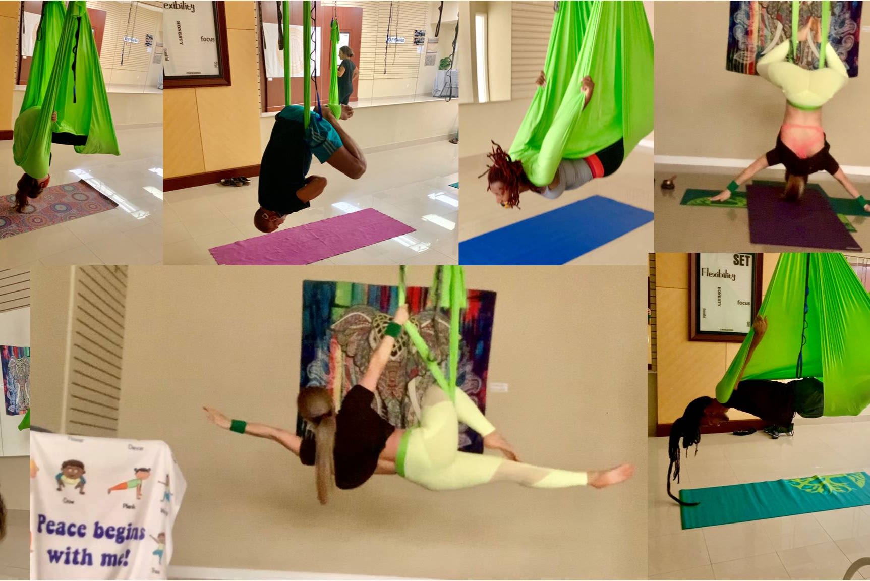 Aerial Yoga in Coral Gables at Scleranthus Aerial Yoga Read Reviews and Book Classes on ClassPass