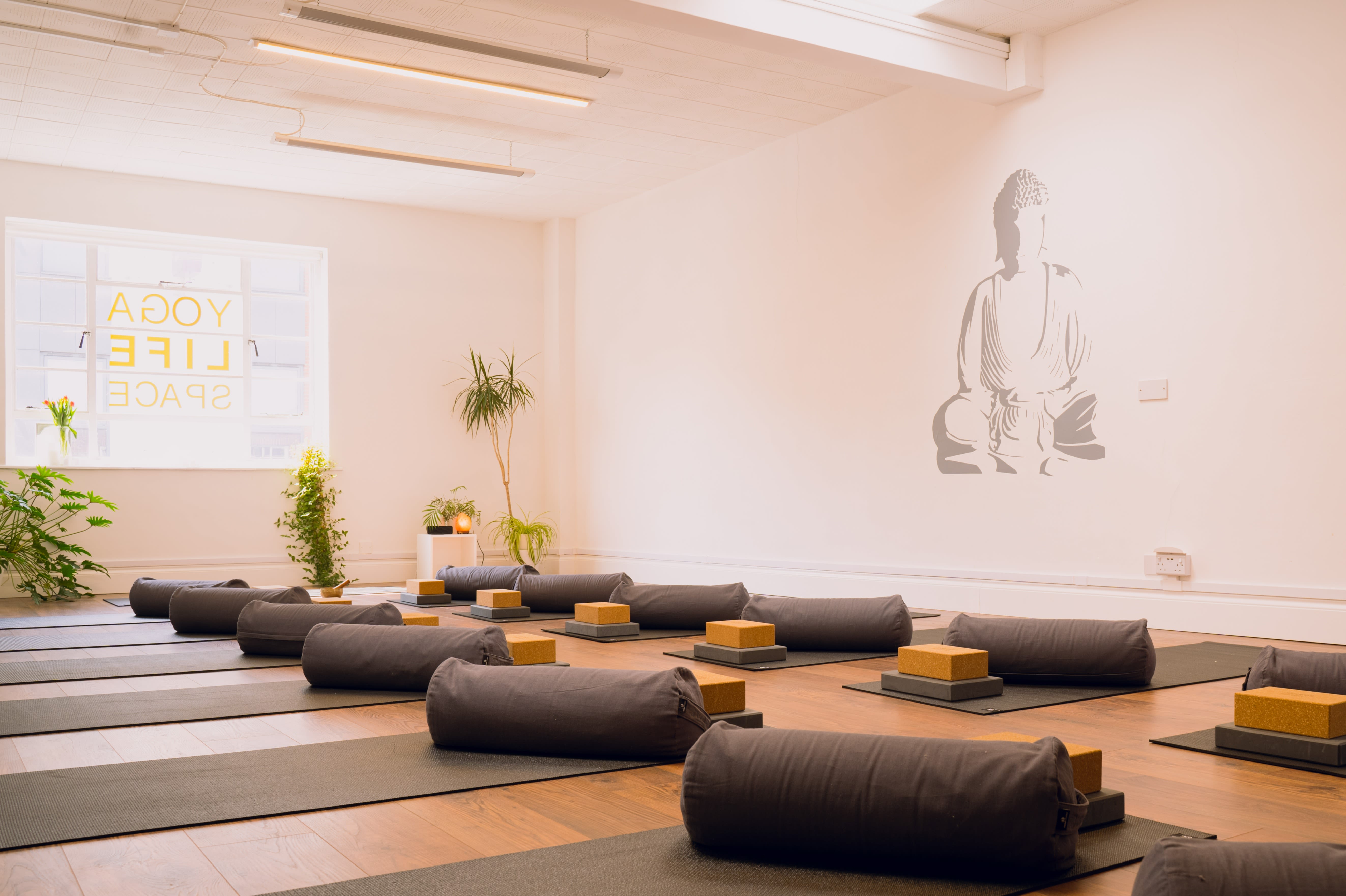Yoga Life Space: Read Reviews and Book Classes on ClassPass