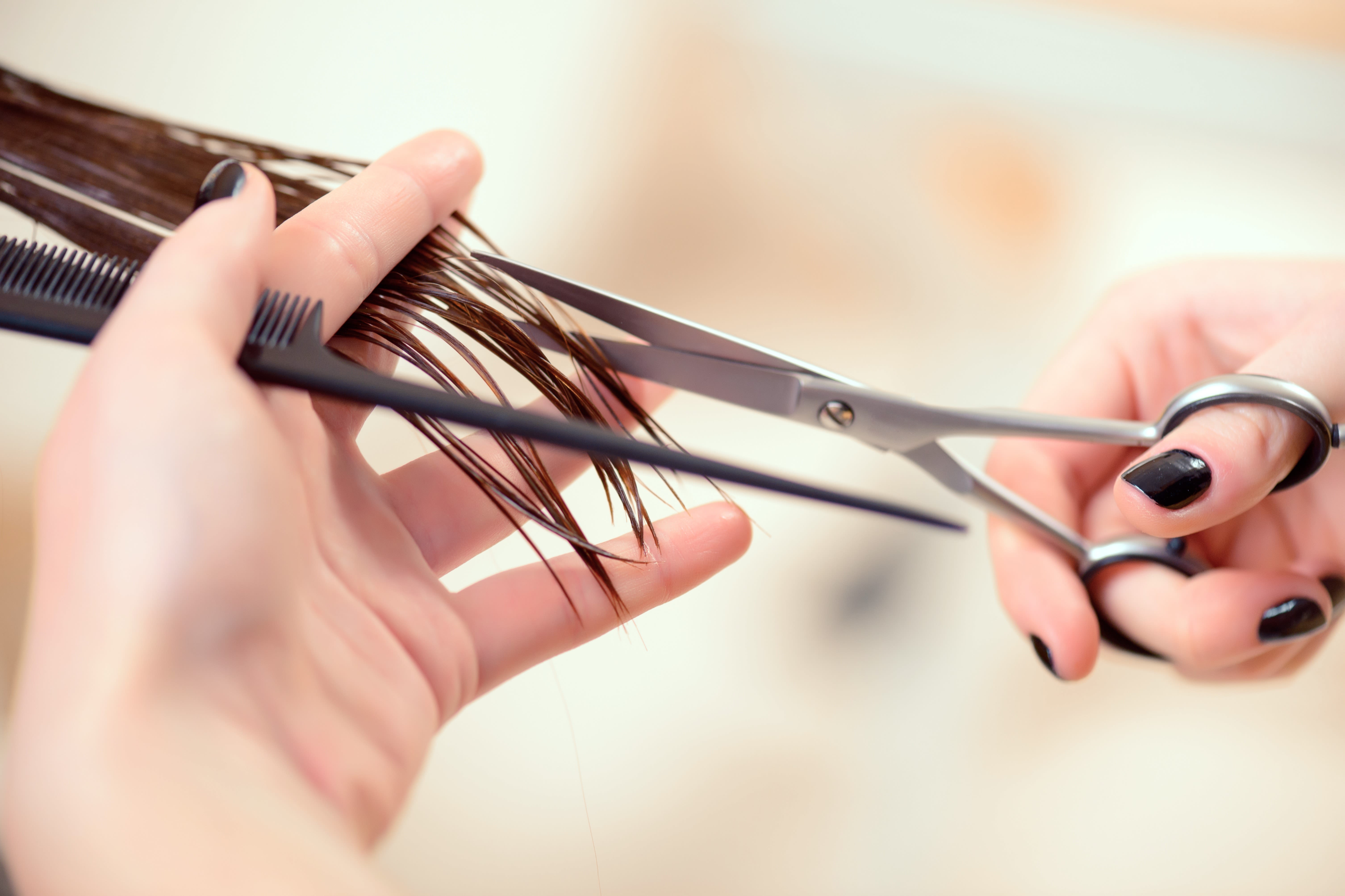 Hive Hair Co Read Reviews And Book Classes On ClassPass