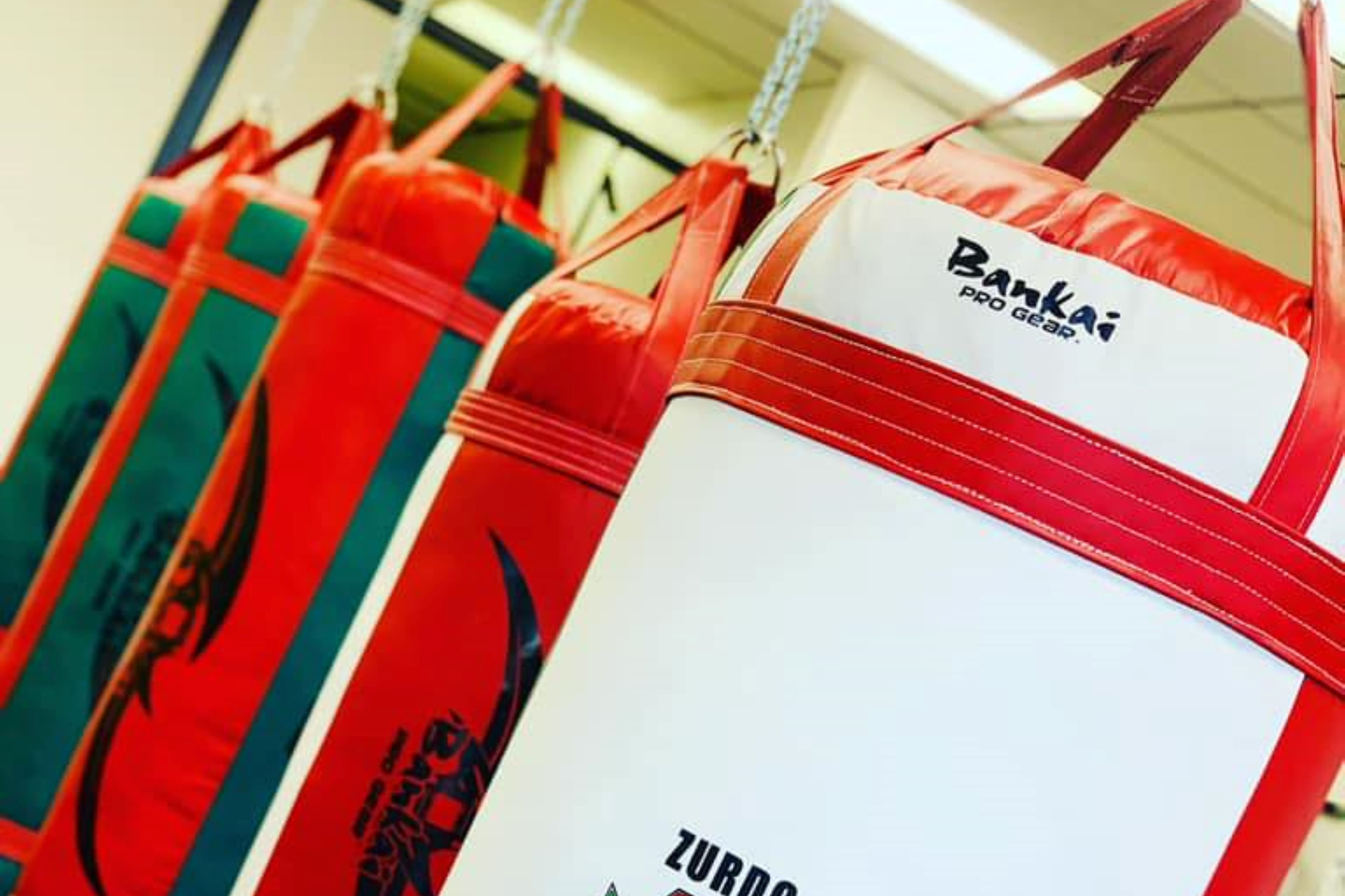 El Zurdo Montanez Boxing Gym LLC Read Reviews and Book Classes on