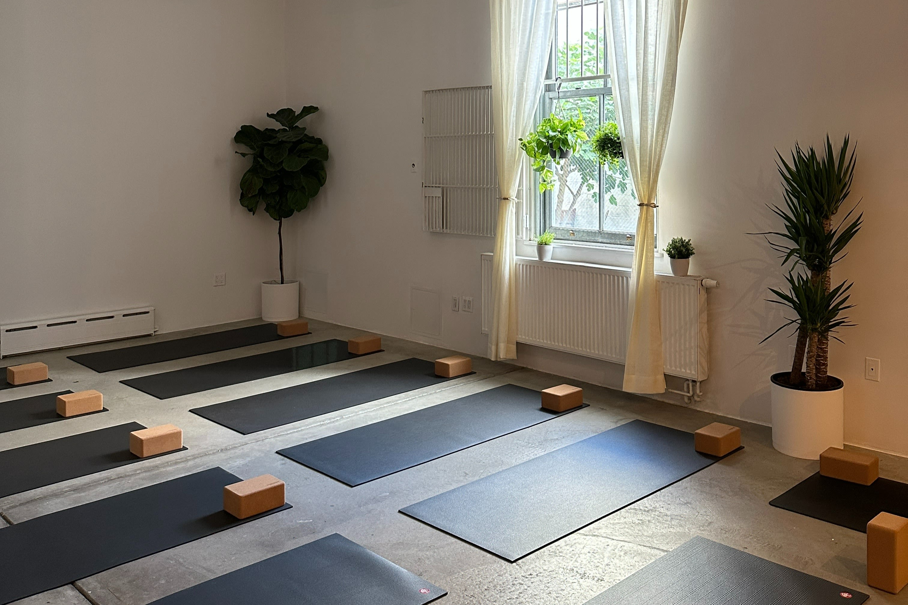 YOGA WILLIAMSBURG BROOKLYN visual data 3