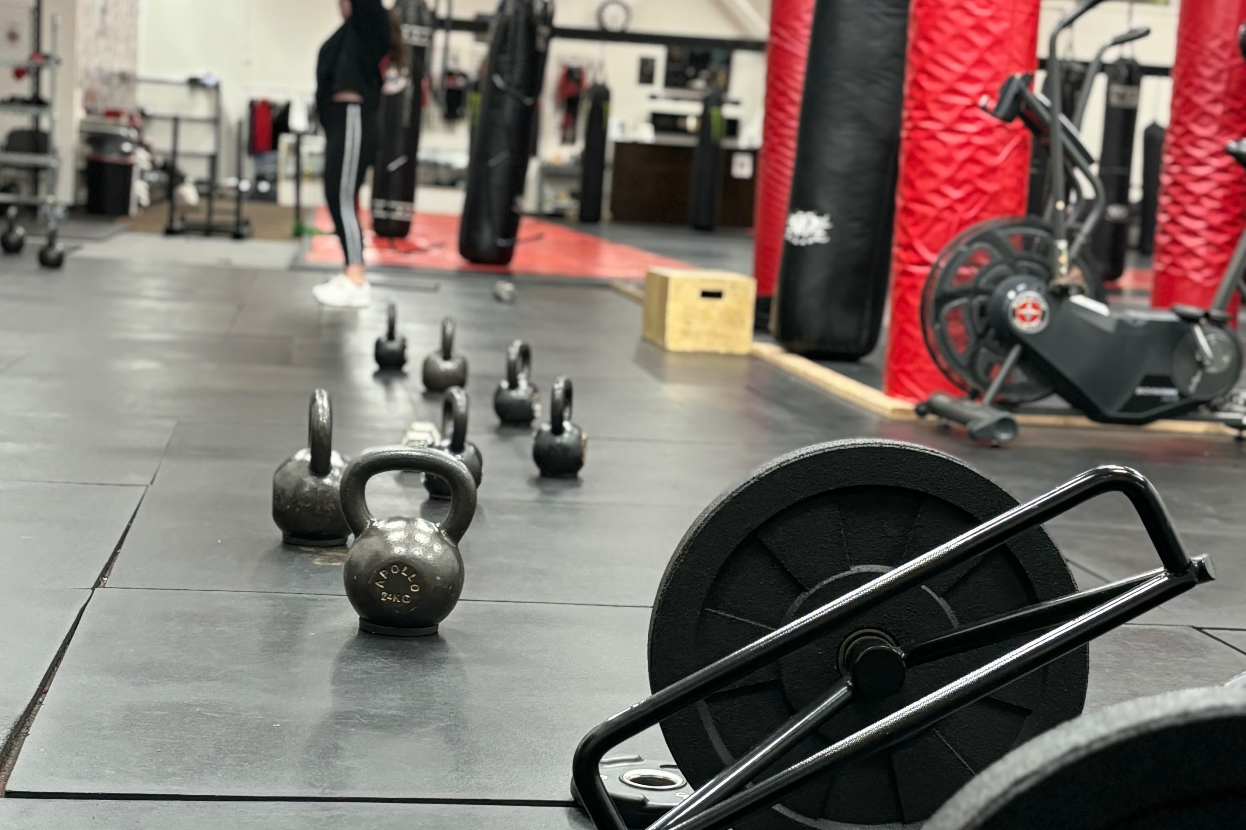 Antdawgs Mma Training Center Read Reviews And Book Classes On Classpass 9399