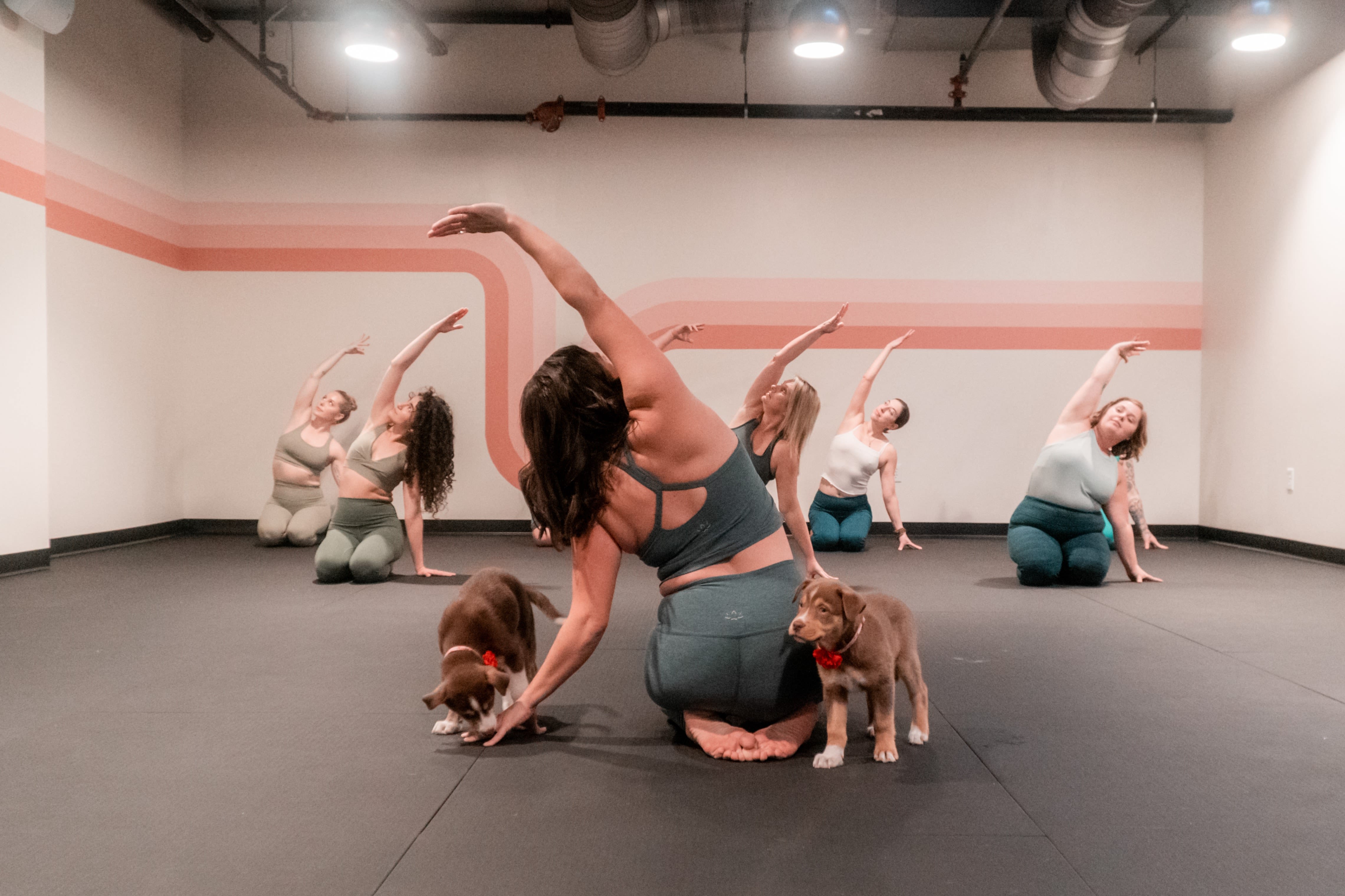 MOTIVITY - Functional Yoga, Movement & Release Hamburg Ottensen