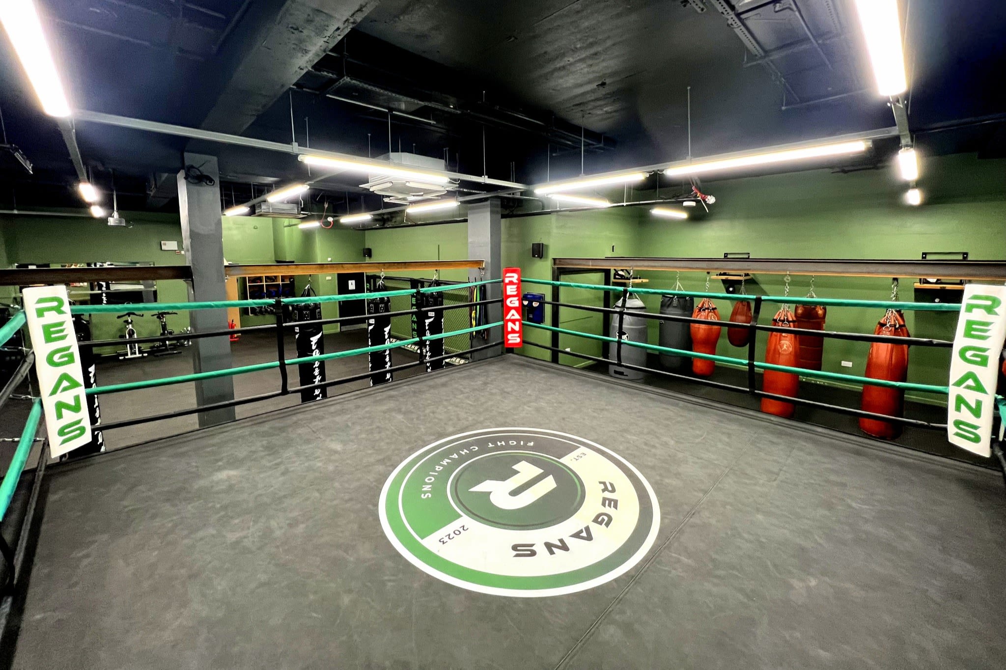 Regans Fight Champions: Read Reviews and Book Classes on ClassPass