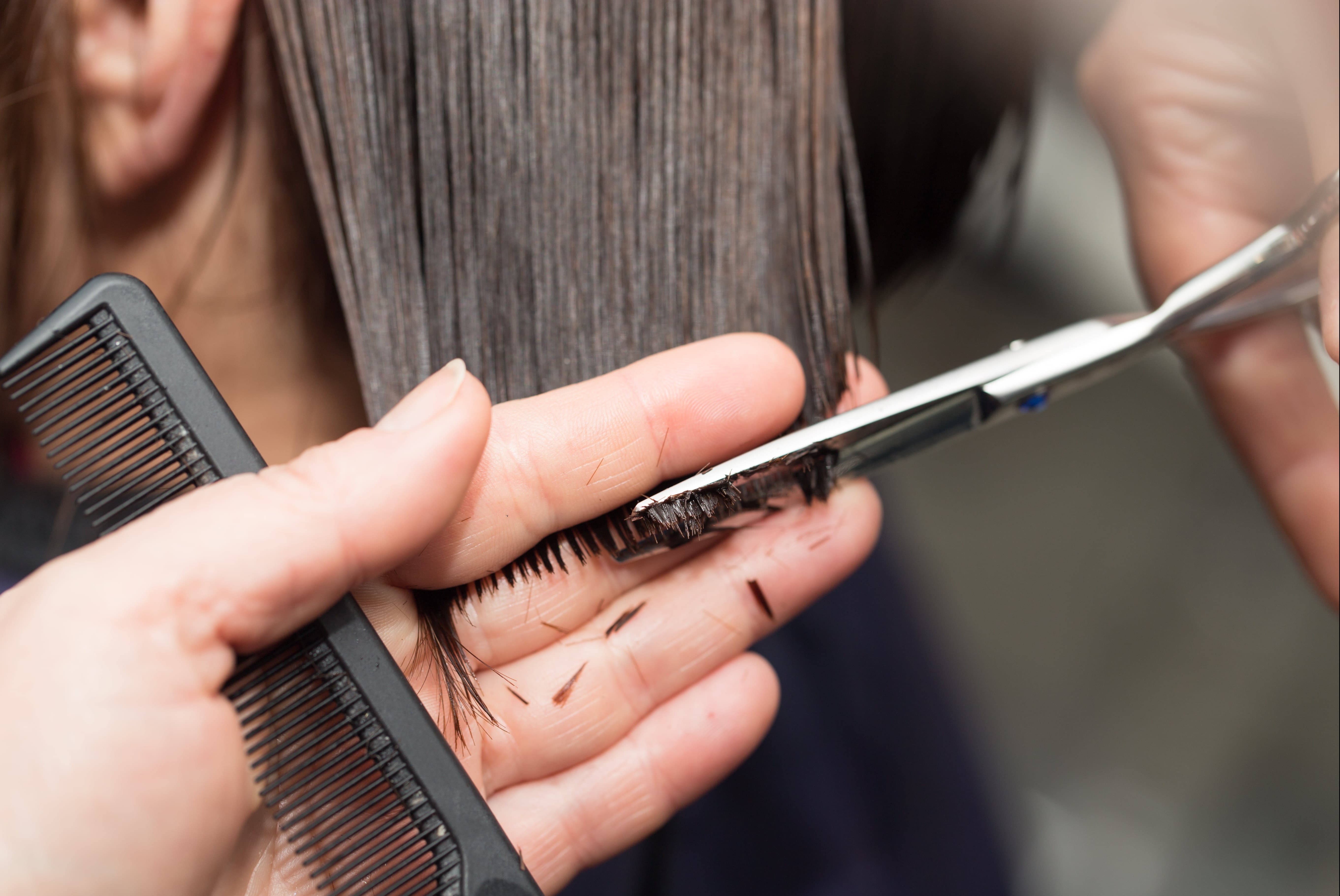 Salon Petite Read Reviews And Book Classes On ClassPass