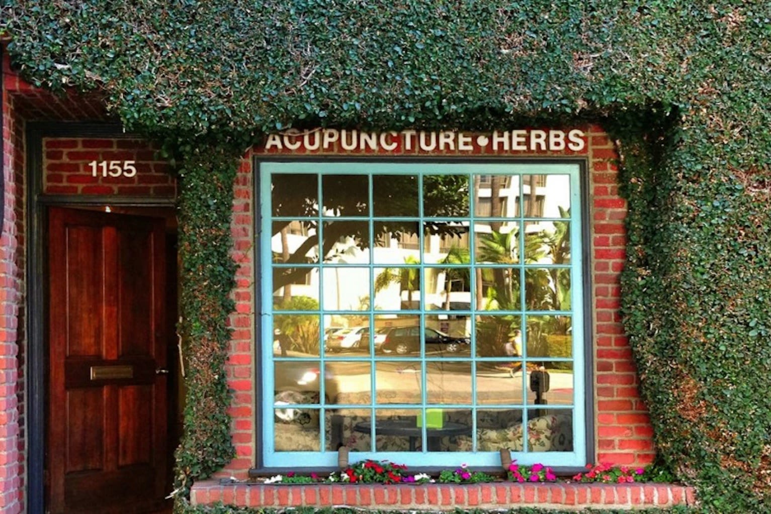 Robert Youngs Acupuncture Read Reviews and Book Classes on ClassPass