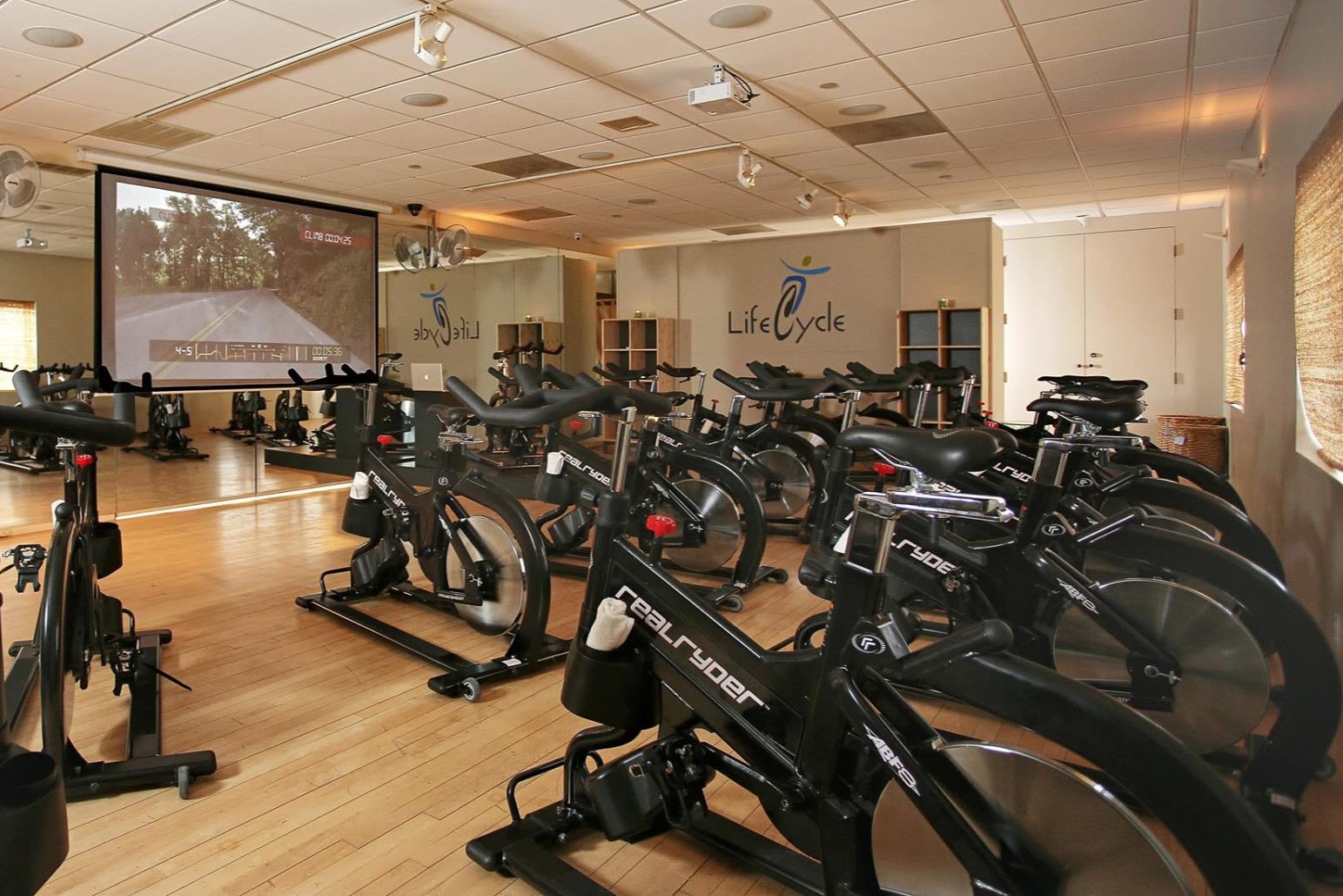 Lifecycle best sale spin studio