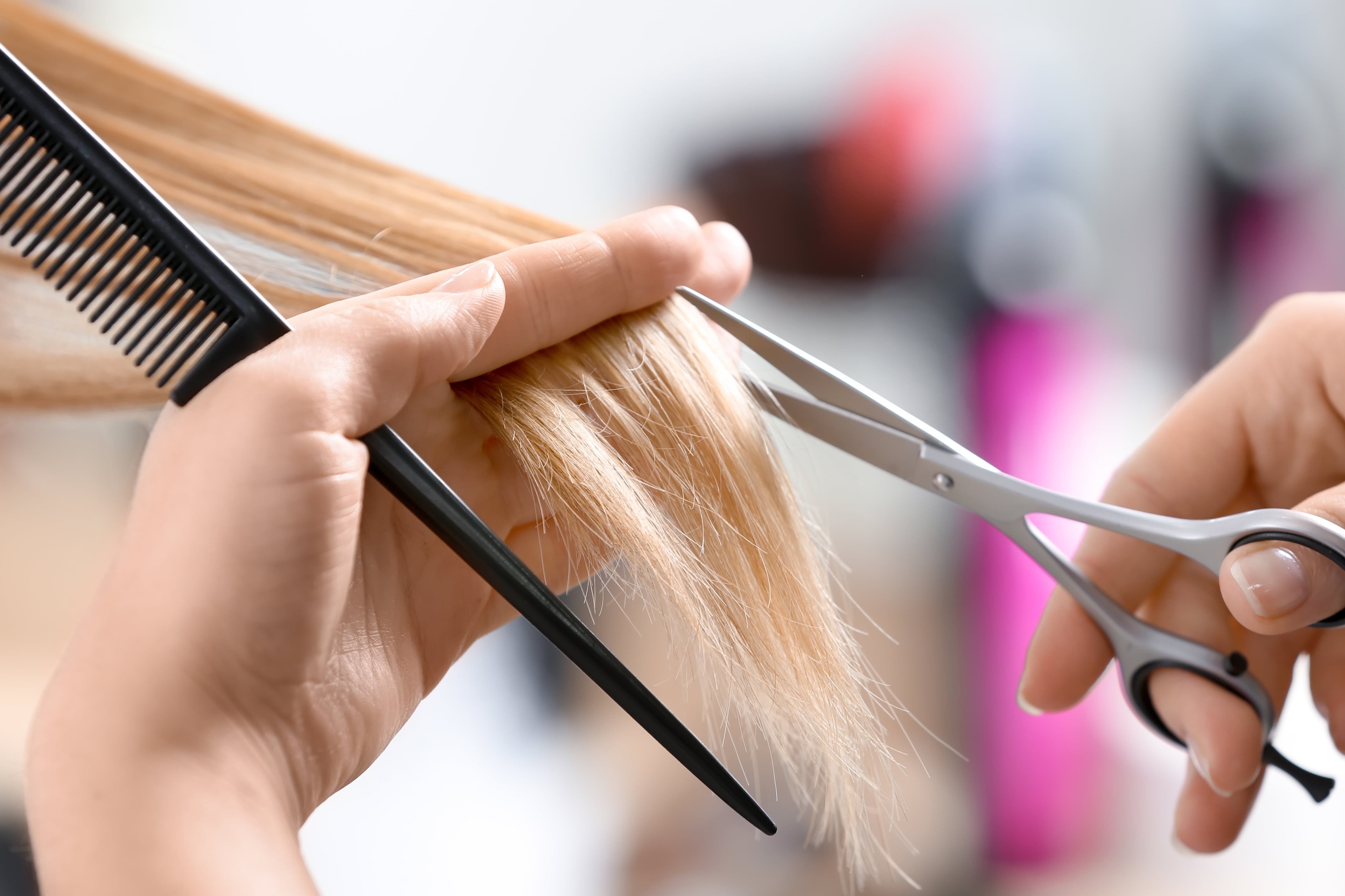 Shear Thing Salon Read Reviews and Book Classes on ClassPass