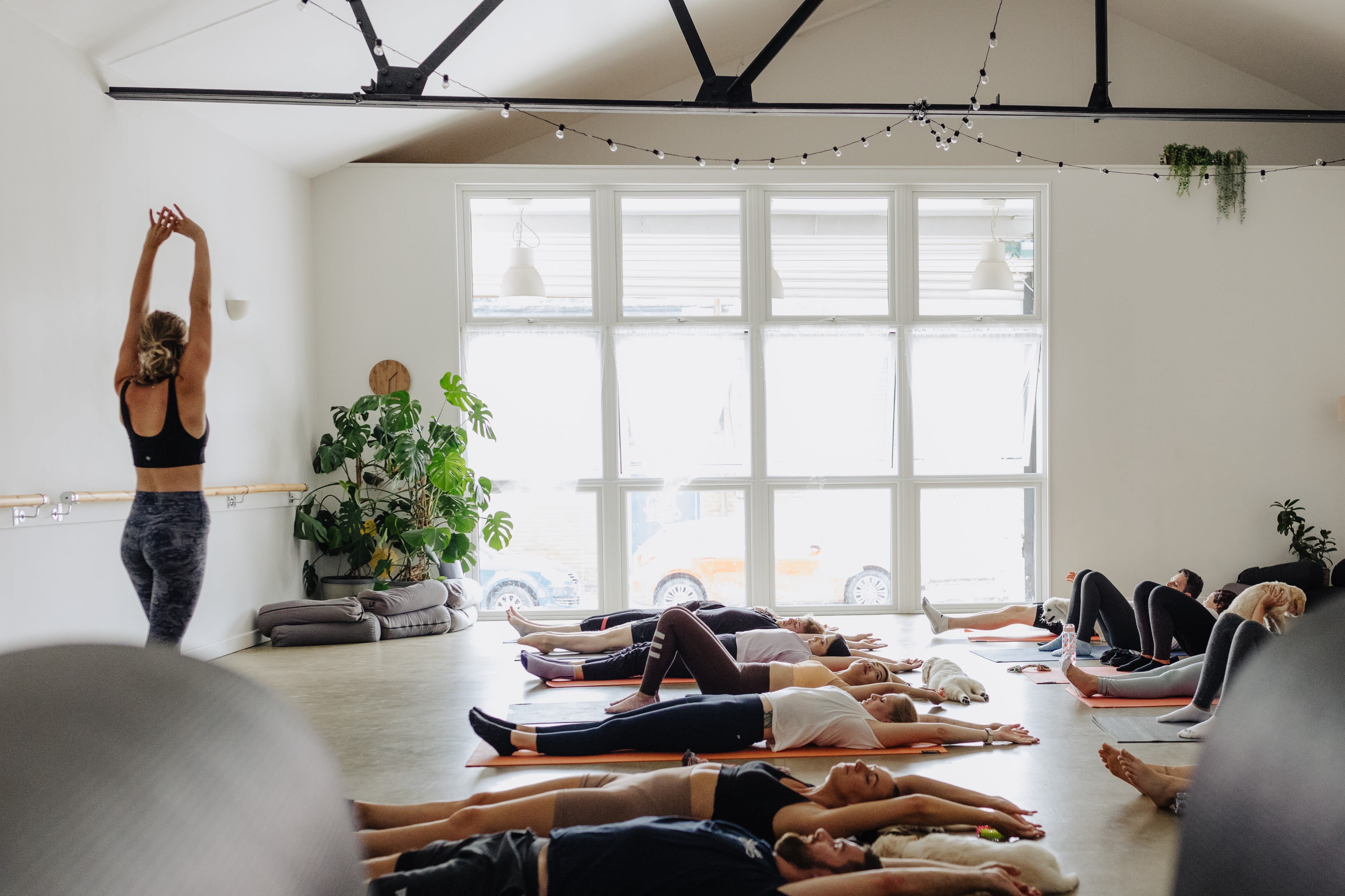 Lucy Alice Yoga: Read Reviews and Book Classes on ClassPass