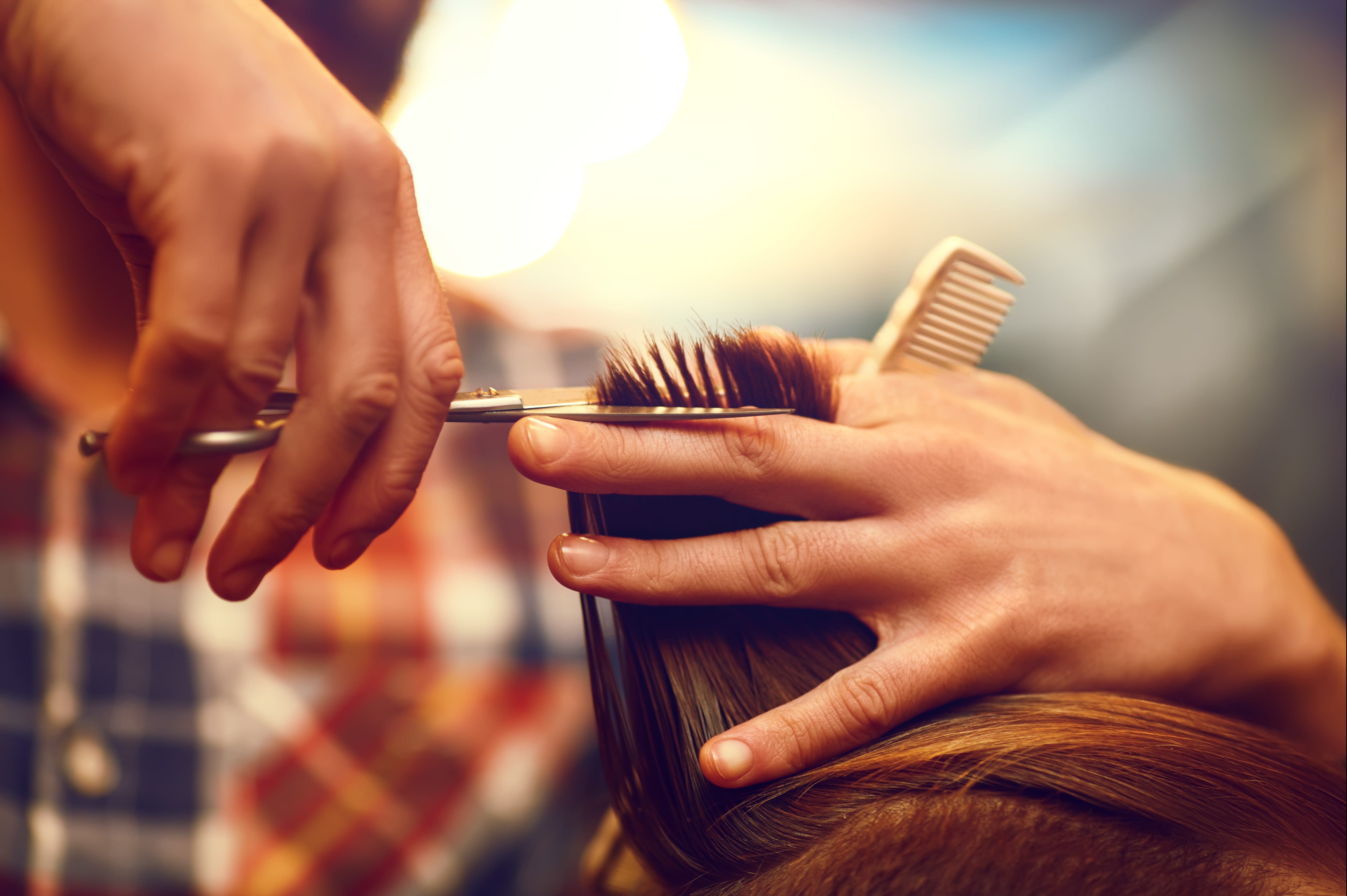 Groom room outlet brush