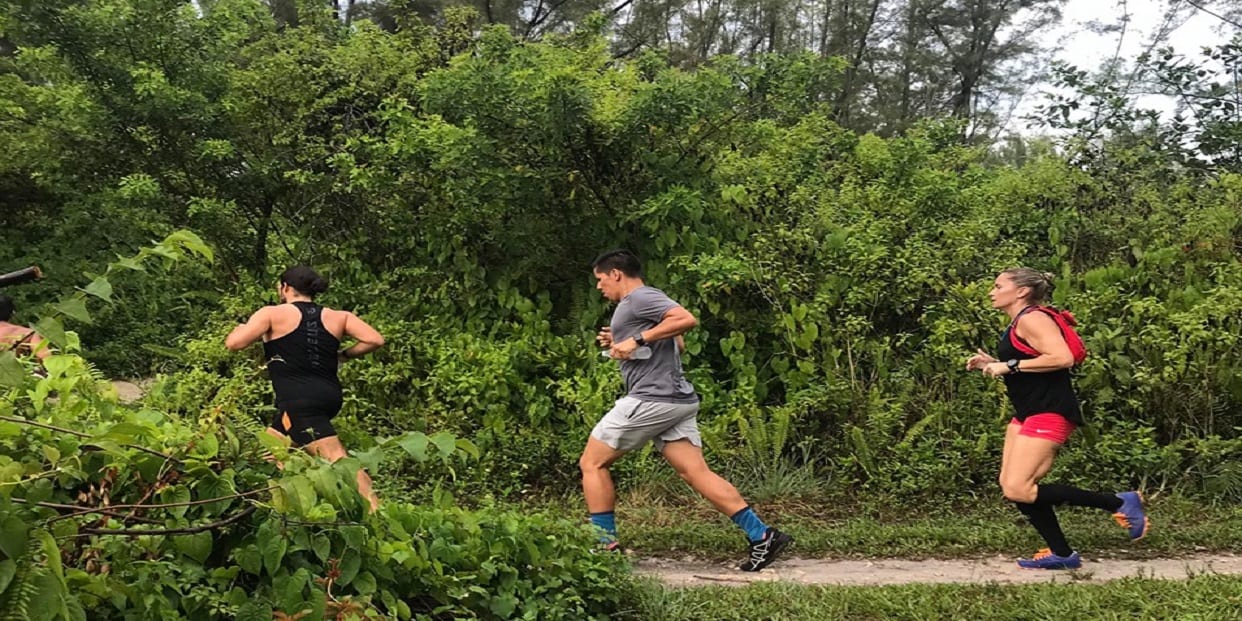 Trail Run Training at Fit Zone - Amelia Earhart Park: Read Reviews and ...