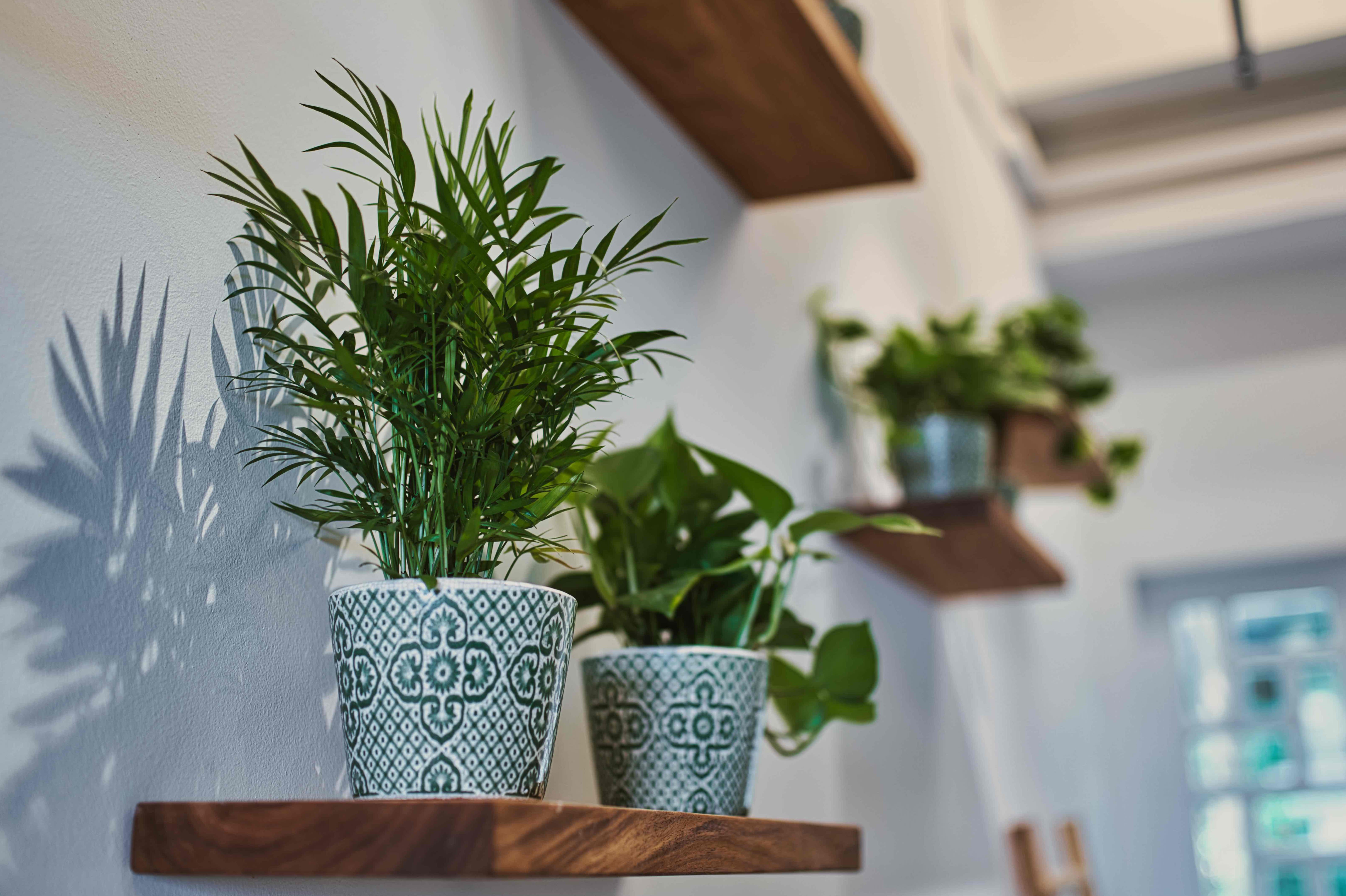 Stretch Quarters Read Reviews and Book Classes on ClassPass