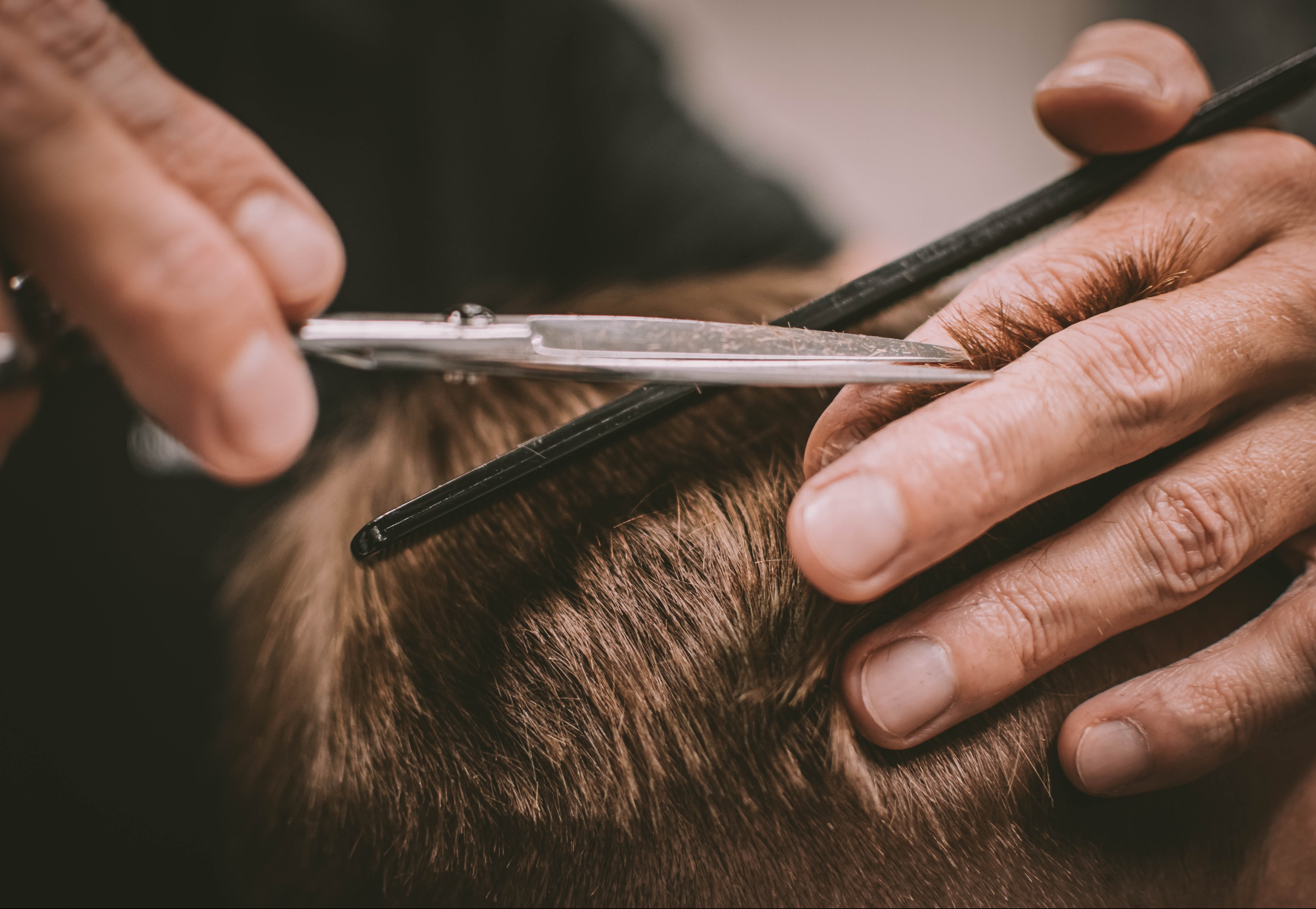 Bonafide Barber Shop