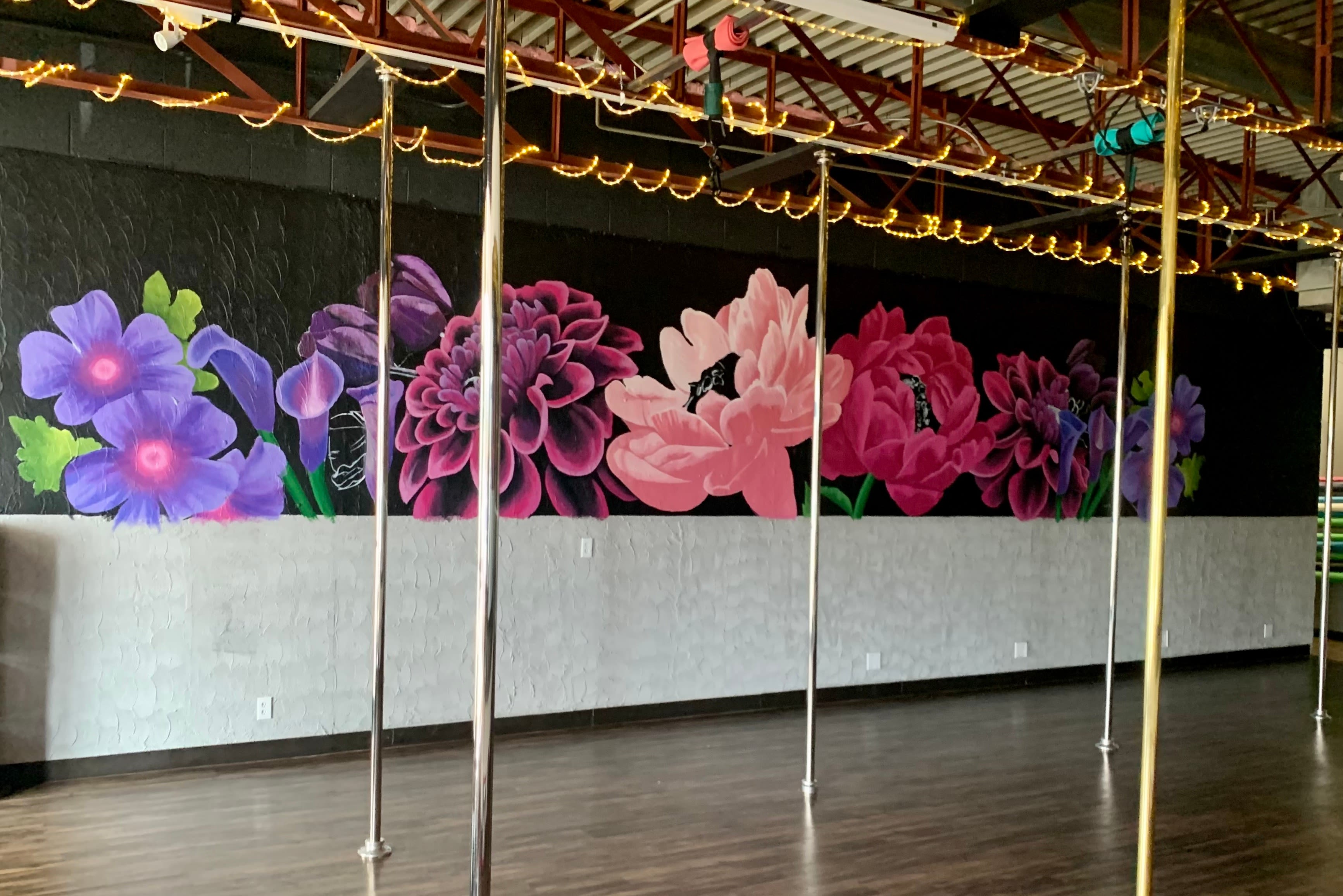 Fit Body & Pole – Pole Dance & Fitness in Colorado Springs