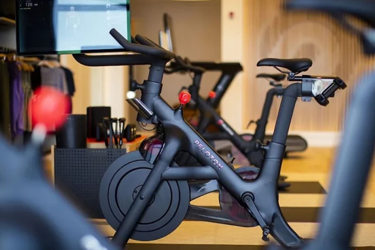 Fit Gym Sandfly Read Reviews and Book Classes on ClassPass