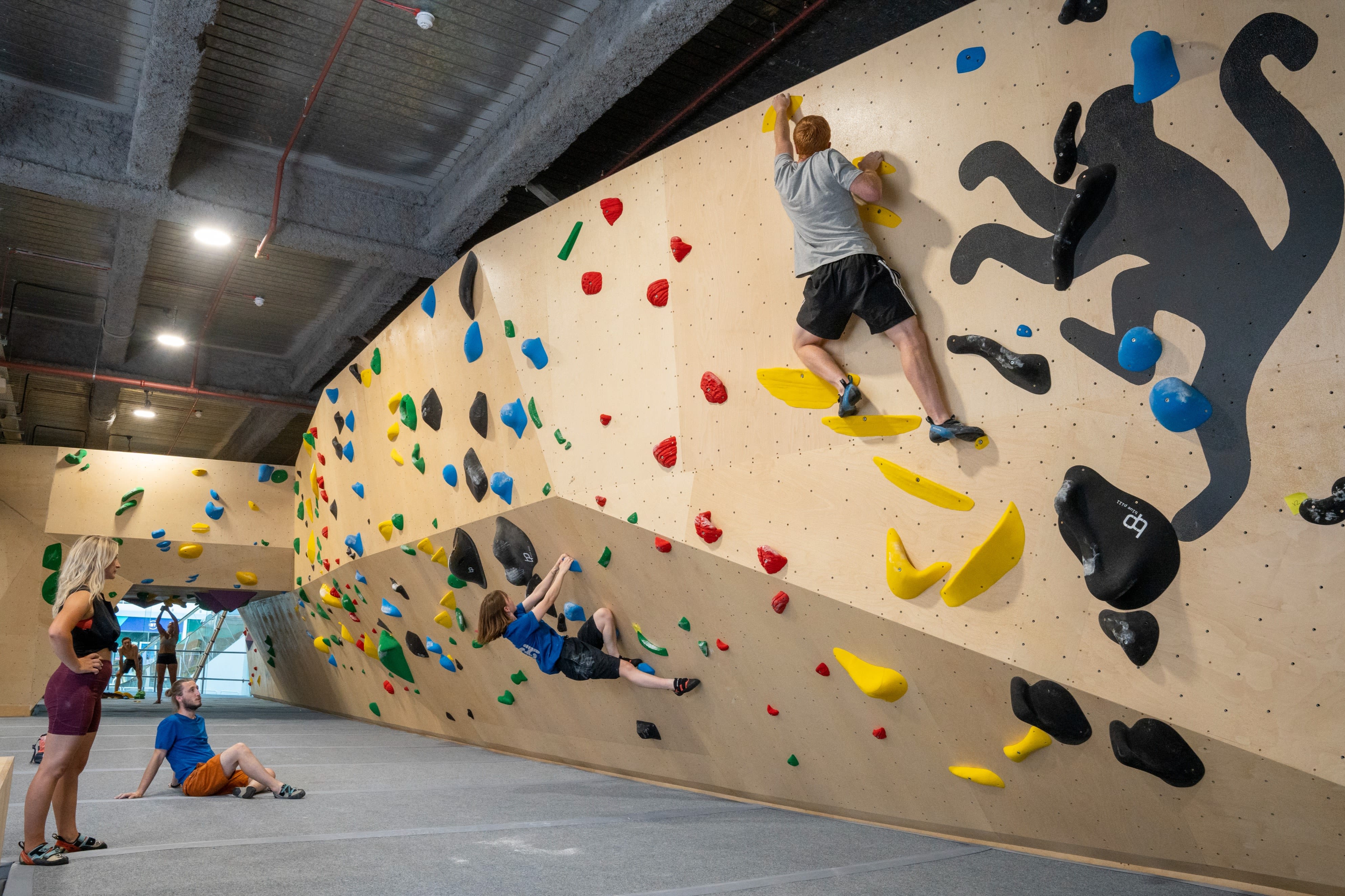 The Arch Climbing Wall Surrey Quays Read Reviews and Book Classes on