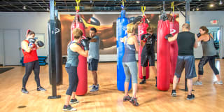 One Punch Boxing Club: Read Reviews and Book Classes on ClassPass