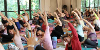 Green Yoga SEZ: Read Reviews and Book Classes on ClassPass