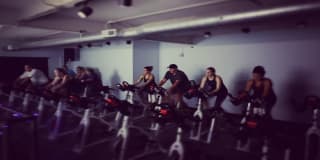 spinister cycle studio