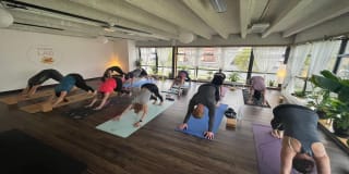 Reformer Teacher Training at yogahub Dublin Ireland - Yogahub