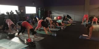 Bee Fit Health Club Read Reviews And Book Classes On Classpass